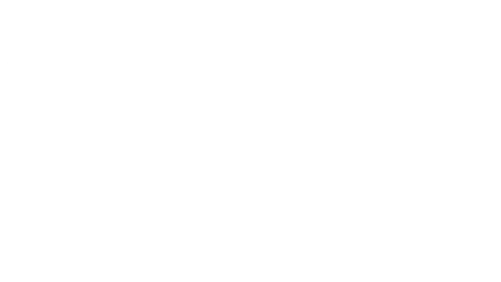 trader